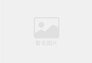 干果枸杞立式自动包装机